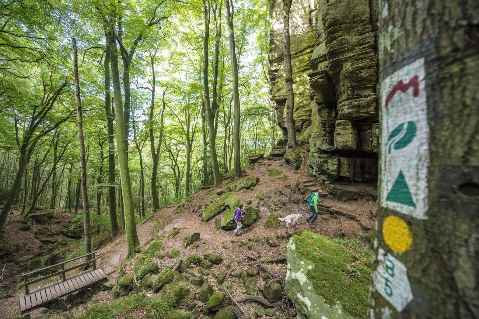 Mullerthal Trail ExtraTour B - Visit Luxembourg