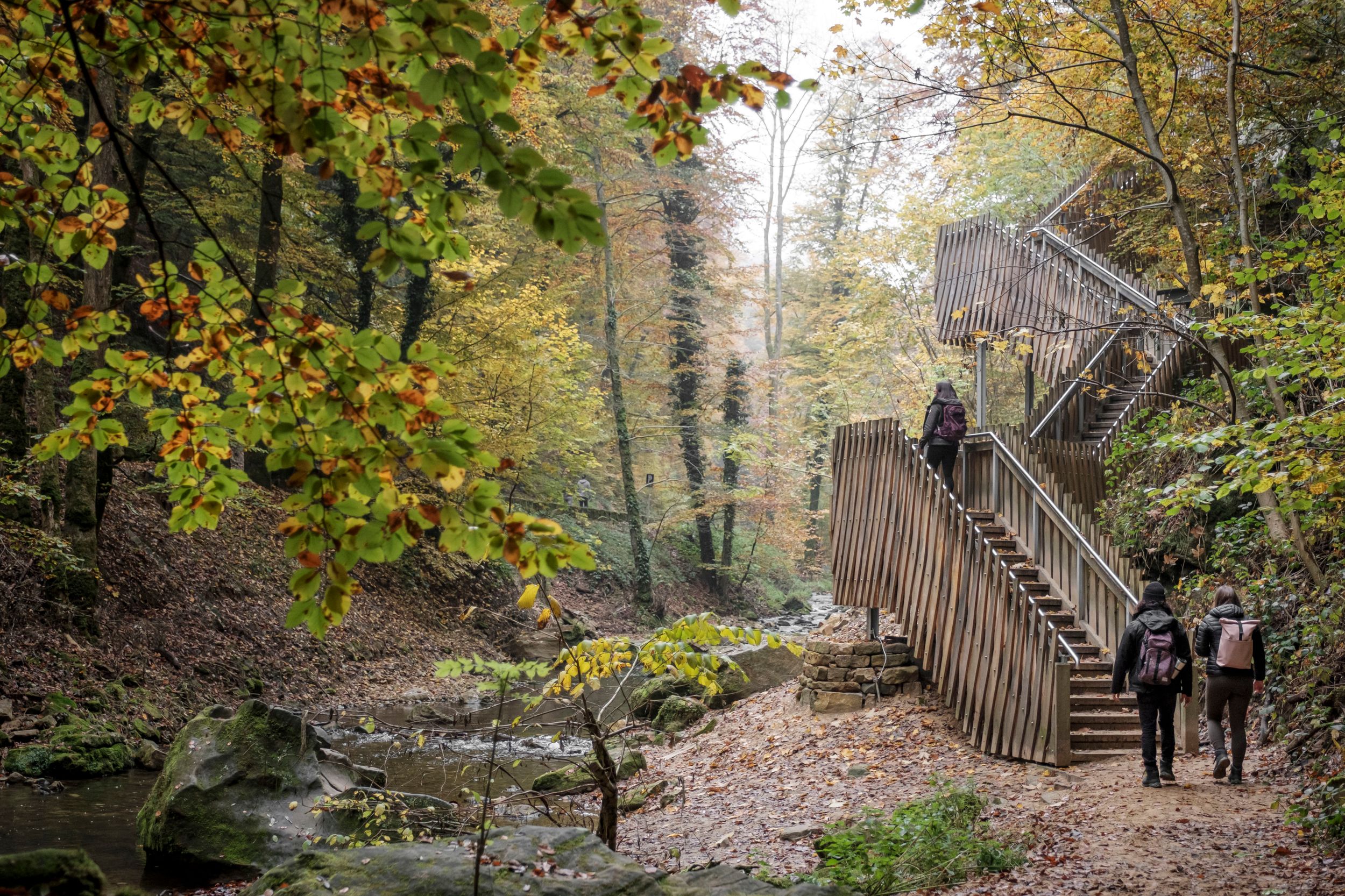 Mullerthal Schiessentümpel