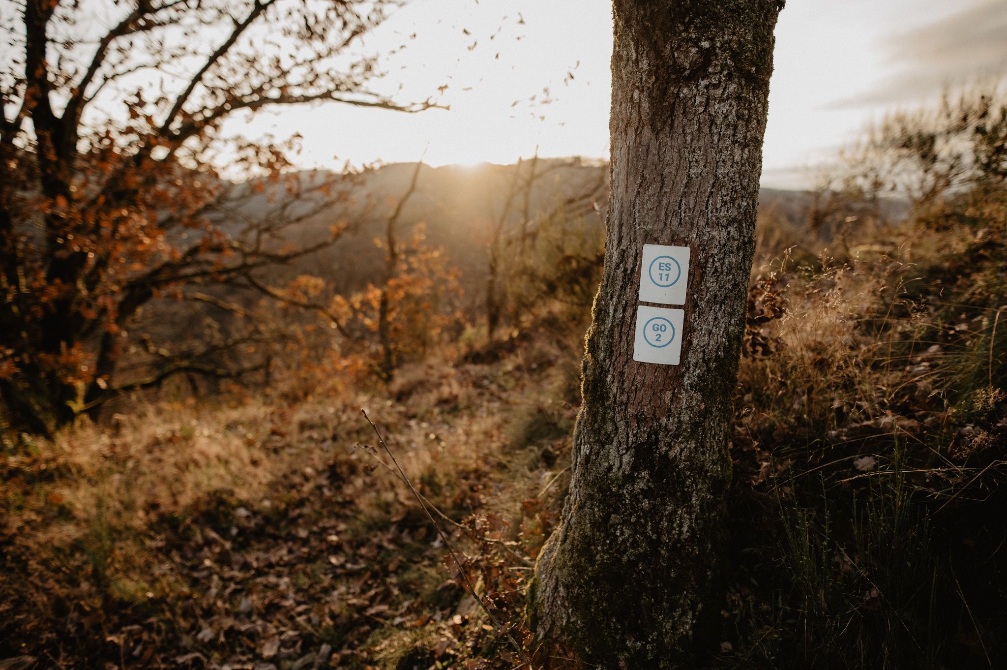 Local Hiking Trail GO 2 - Goesdorf - Visit Luxembourg