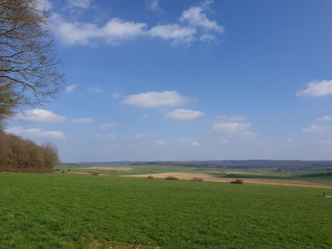 Local Hiking Trail - W1 - Visit Luxembourg