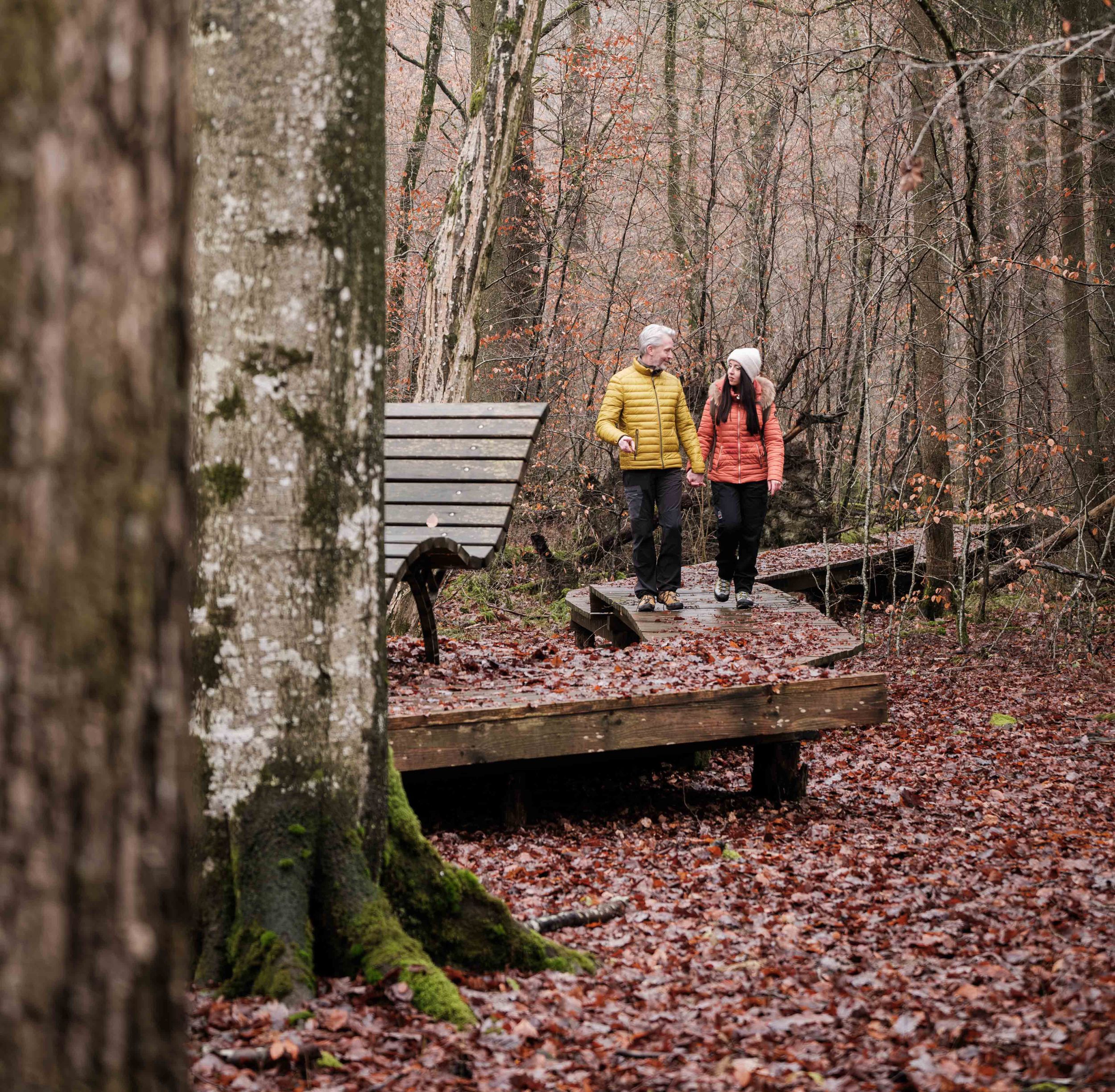 Herborn Route 1 Mullerthal Trail Hierbesch