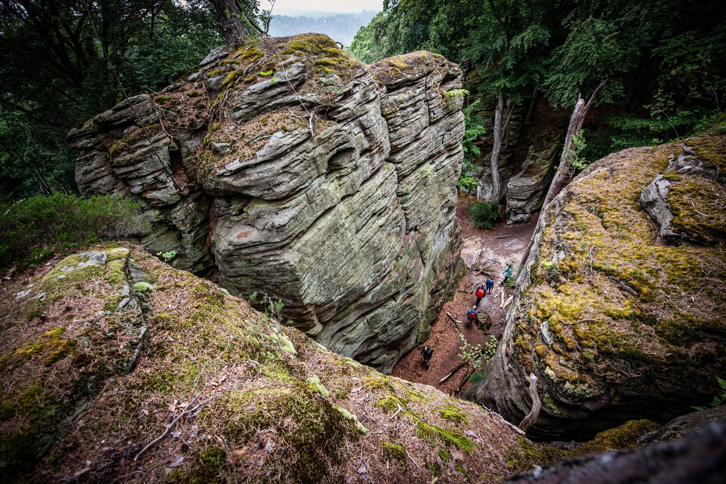 Mullerthal Trail