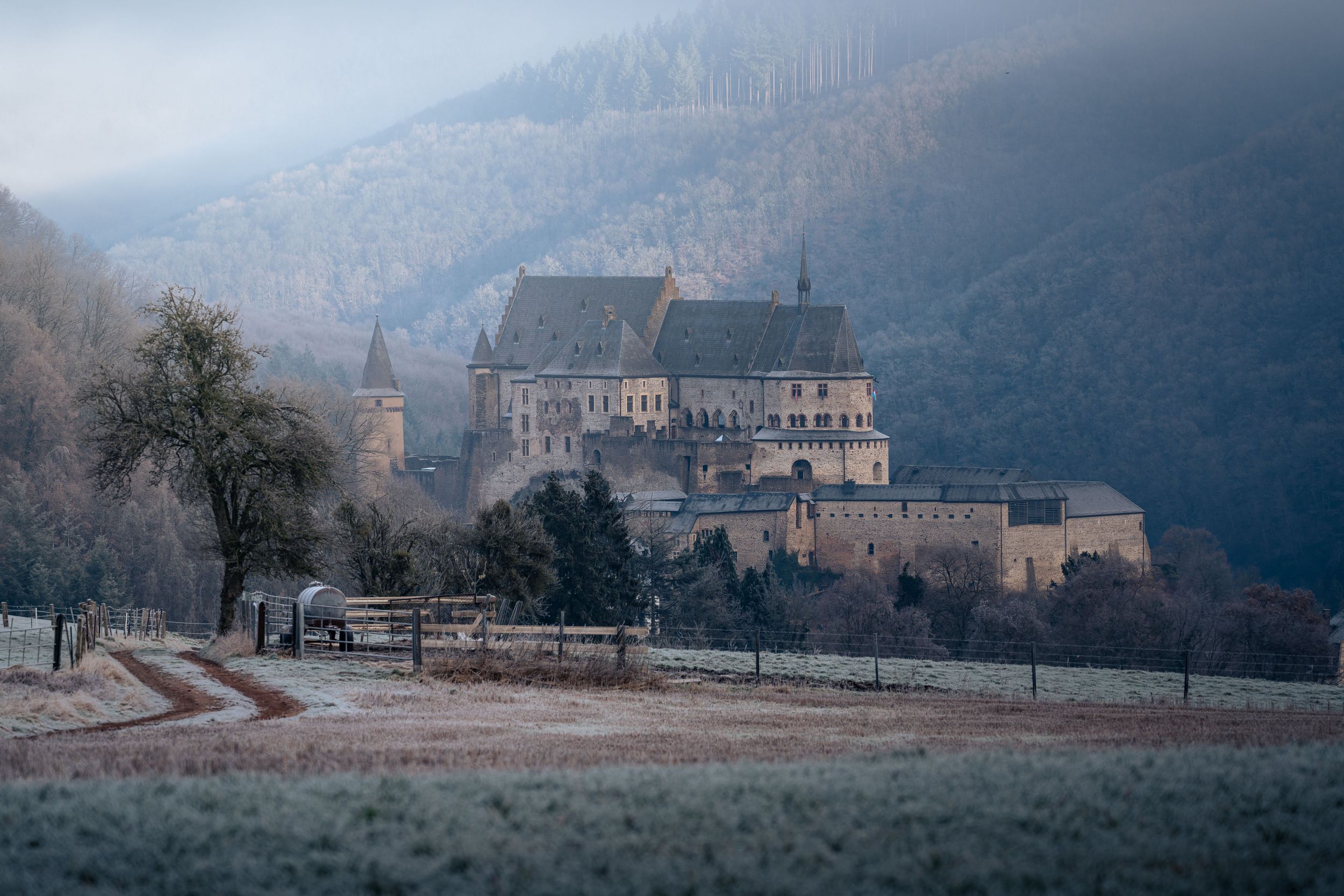 Kasteel van Vianden