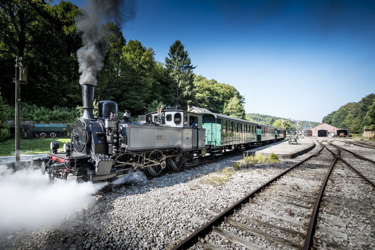 The Steam Train