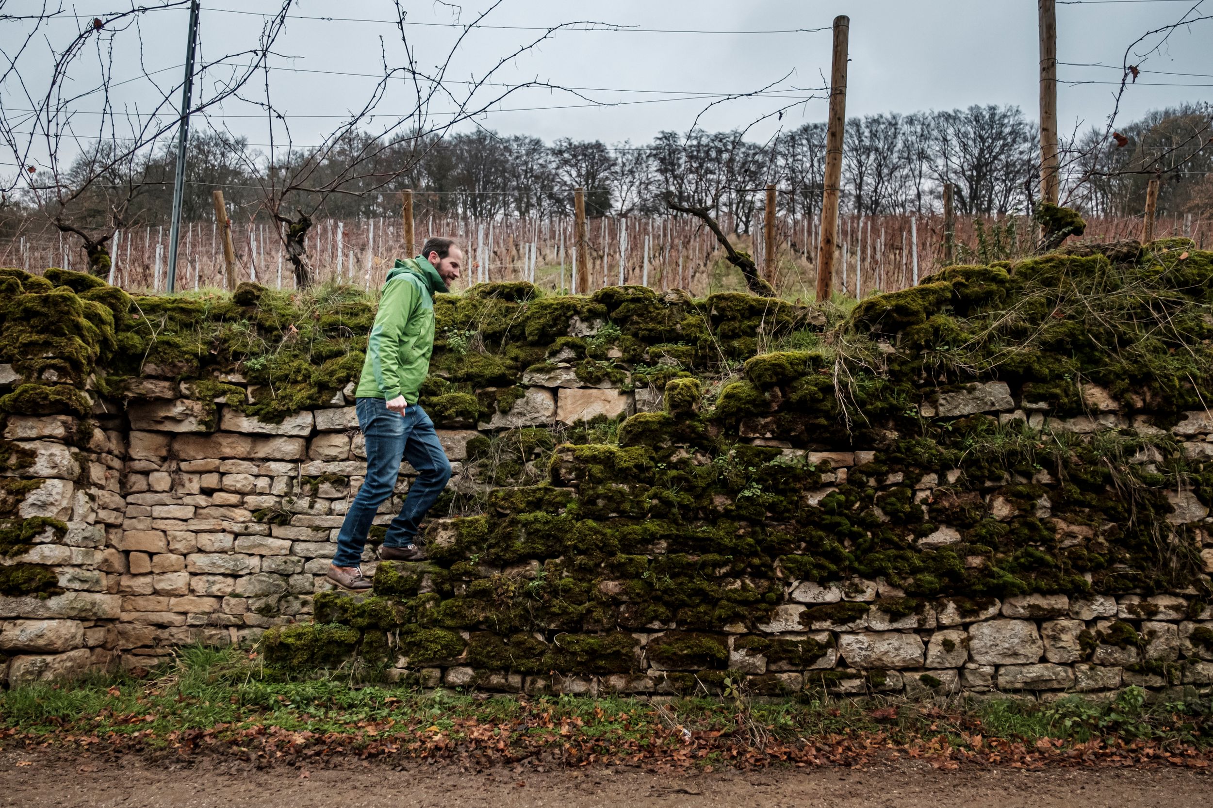 Vigneron Georges Schiltz