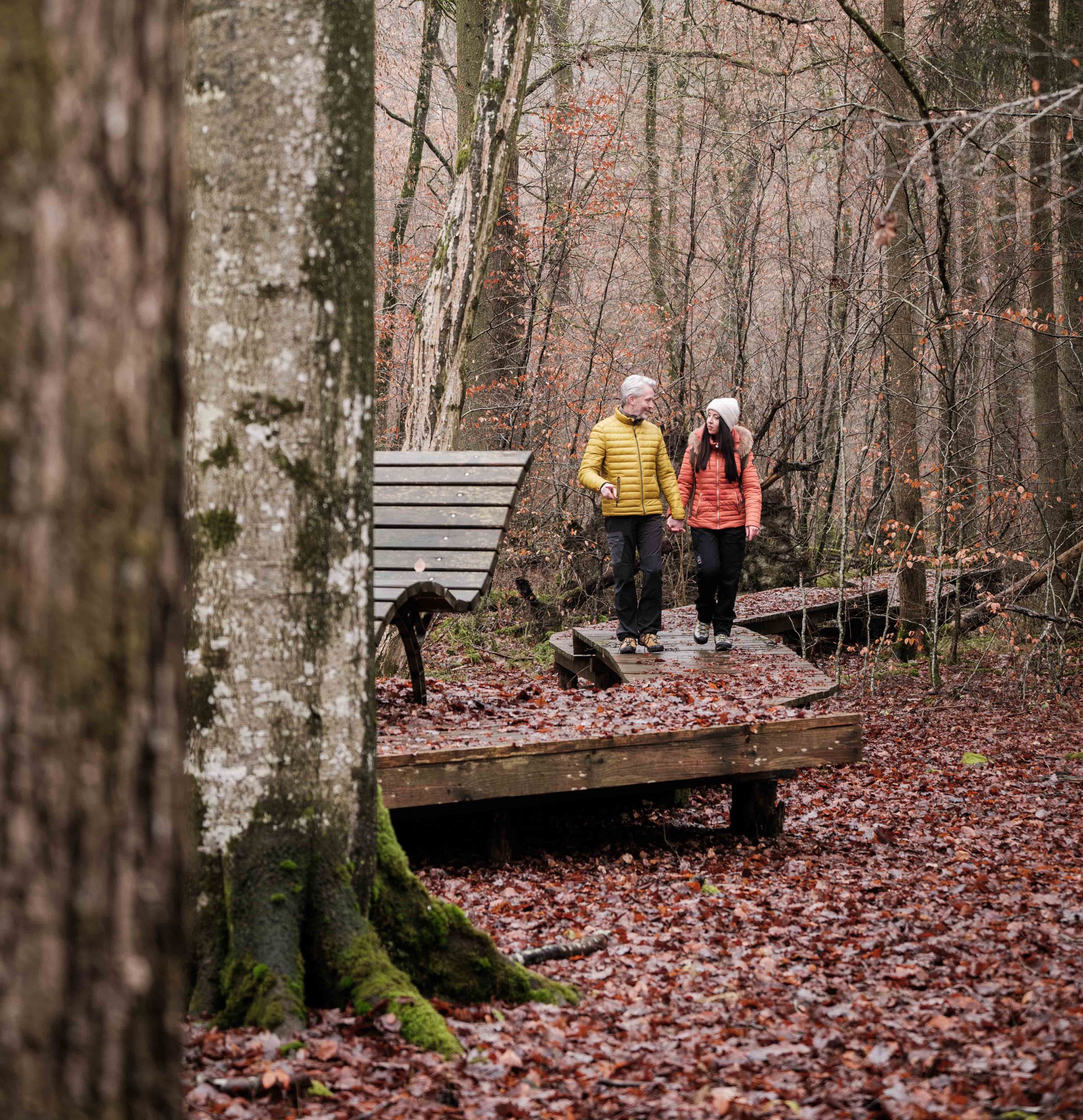 Herborn Route 1 Mullerthal Trail Hierbesch