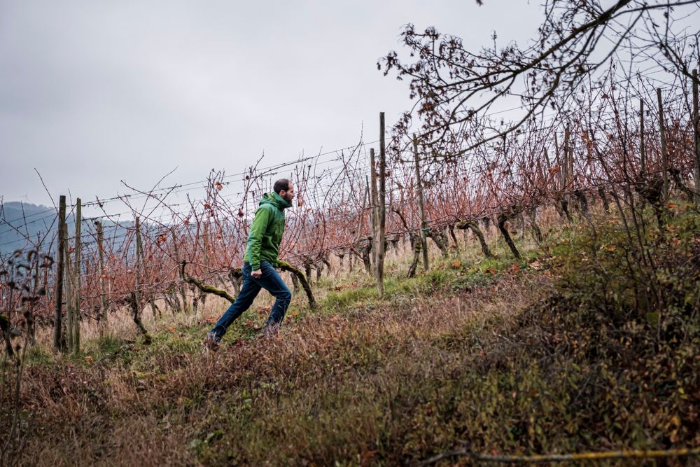 Viticulturist Georges Schiltz