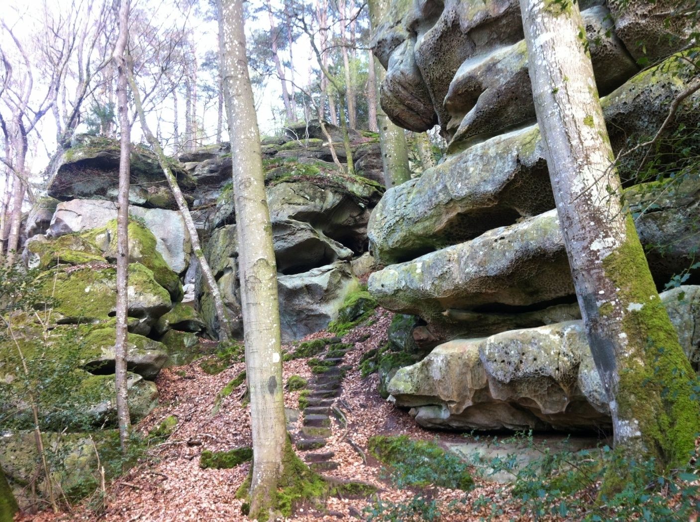 Local hiking trail - C3 - Visit Luxembourg